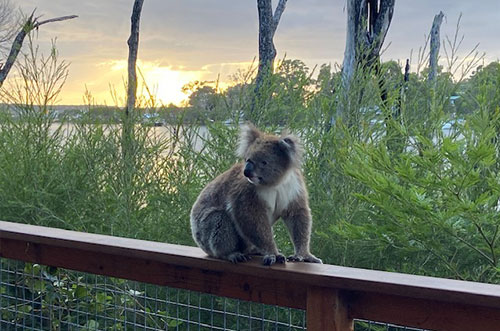 Lakeside at Mallacoota